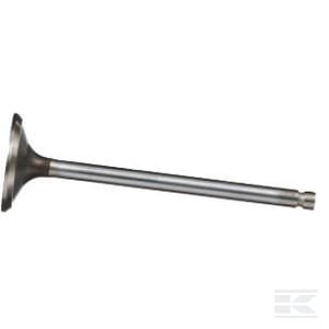 Išmetimo vožtuvas 4895188FPT