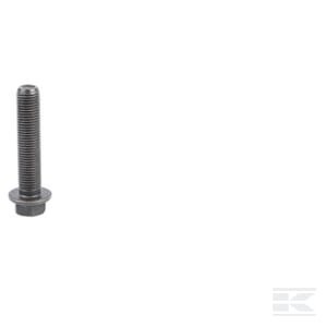 Švaistiklio varžtas 504015229FPT