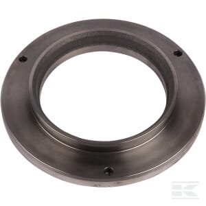 Pavaros diskas 5191352