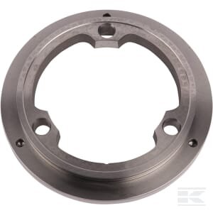 Pavaros diskas 5191494