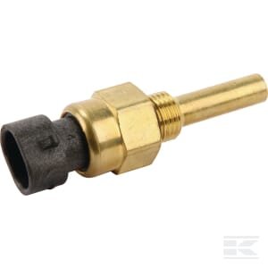 Kuro įpurškimo jutiklis 6005029273