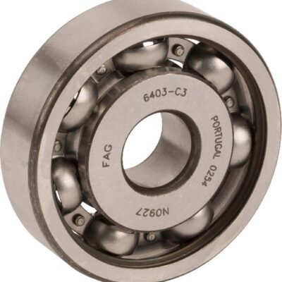 Giliojo griovelio rutulinis guolis 17x62x17 mm INA/FAG 6403C3FAG