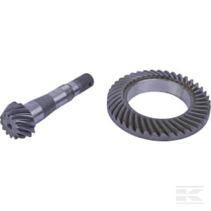 Kūginių krumpliaračių grupė 73366790