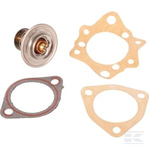 Termostatas 743000631N