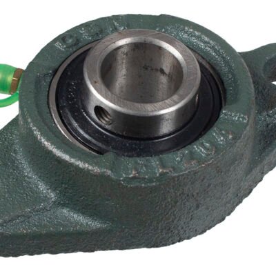 Guolio UC204 lizdas Cedrus siewnik CEDRTJ02