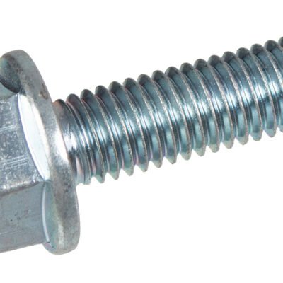 Varžtas Cedrus M8x25 traktoriukas ORIGINALI DALIS