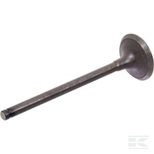 Išmetimo vožtuvas 8830045