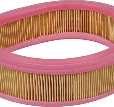 Oro filtro elementas C22331