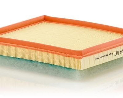 Air filter C24017