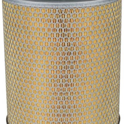 Oro filtro elementas C24393