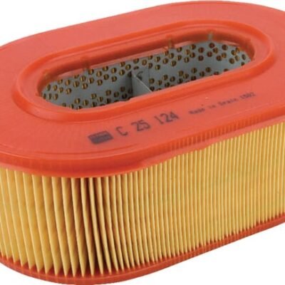 Oro filtro elementas C25124