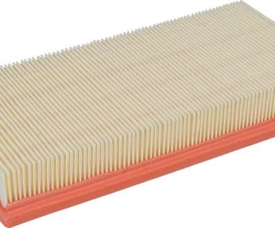 Oro filtro elementas C2860