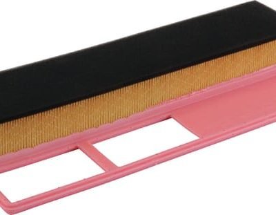 Oro filtro elementas C38771