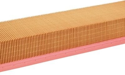 Oro filtro elementas C39108