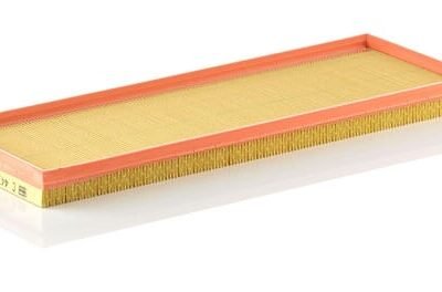 Oro filtro elementas C4476