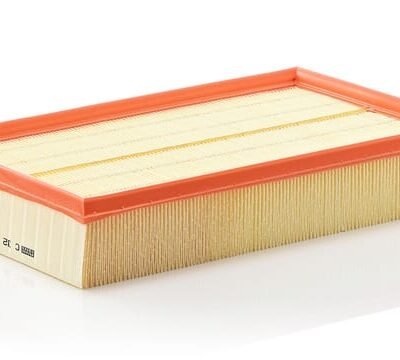 Oro filtro elementas C32164