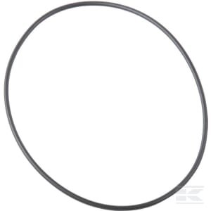 O-žiedas CI028520