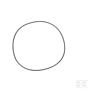 O-žiedas 253.59x3.53mm CI028579