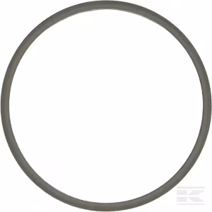 Alyvos sandariklis CI139197