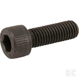 Varžtas M10x30mm CI021410