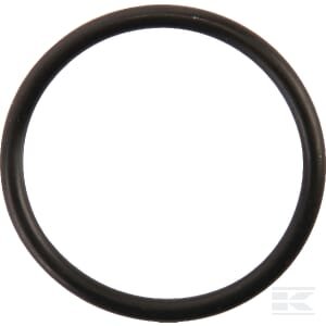 O-žiedas CI028171