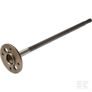 Pavaros velenas CI138523