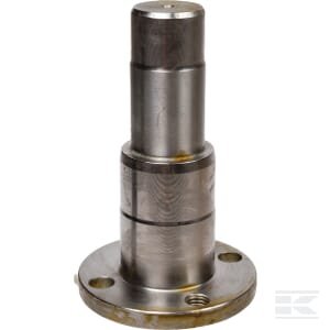 Kaištis Carraro CI141903