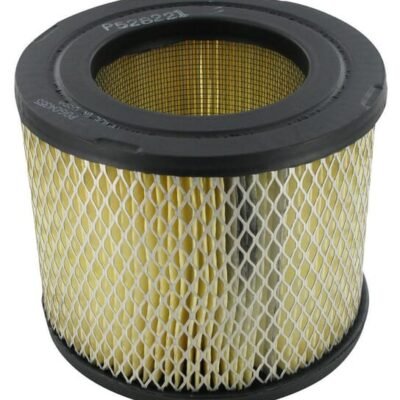 Išorinis oro filtras Donaldson P528221