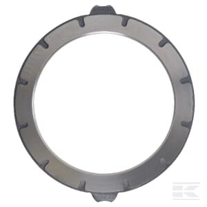 Pavaros diskas R125137