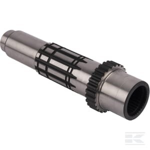 Pavaros velenas R129768