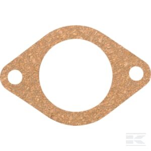 Termostato tarpinė CNH SBA145996051