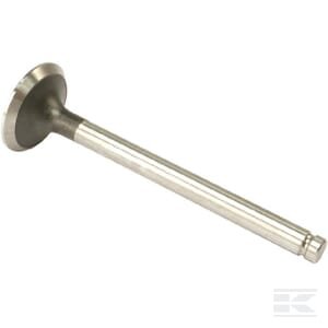 Išmetimo vožtuvas (x4) VPA1160