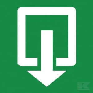 Saugos lipdukas „Avarinis išėjimas“, 200 x 200 mm, Brady WB250453