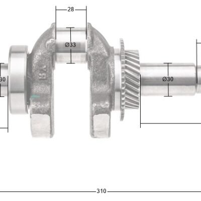 Rato variklio R300 alkūninis velenas