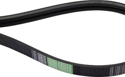 Pavaros diržas Optibelt AP1001624