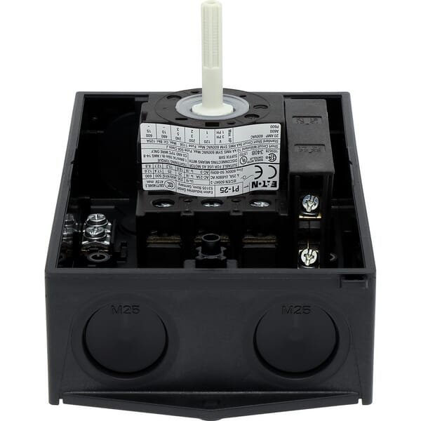 Sukamasis jungiklis 3P, 25A P125I2SVBHI11 - Image 6