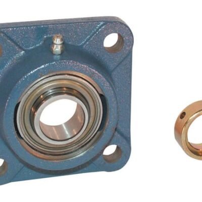 Guoliavietės mazgas FY SKF FY55FMSKF