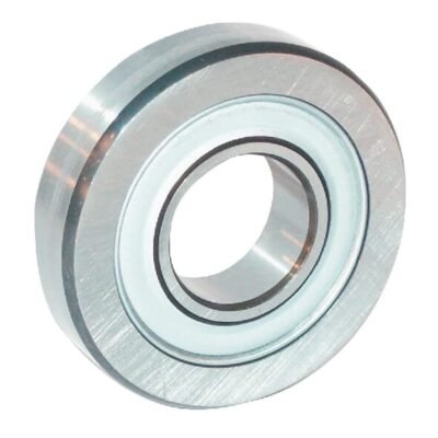 Atraminis ritininis guolis 8x24x7 mm INA LR6082RSR