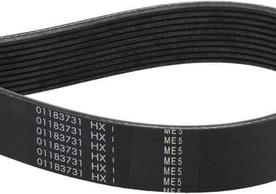 Trapecinis diržas Fendt (AGCO) F954200040010
