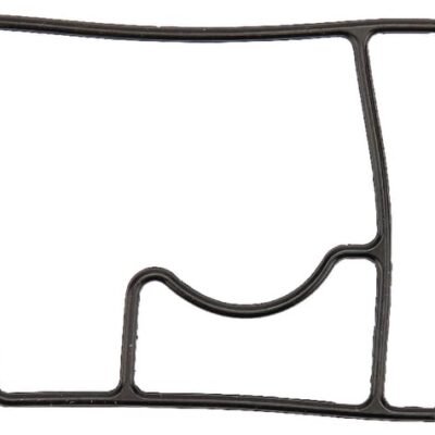 Korpuso tarpinė 80° RAU RG00047429