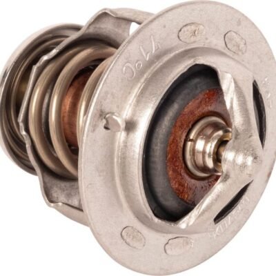 Termostatas CNH SBA145206220