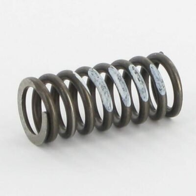 Spyruoklė 1 VMPK5 balta 0-40 bar SD95V01