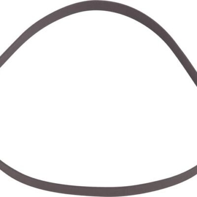 PTFE žiedas SS160115AN