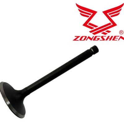 Įsiurbimo vožtuvas ZONGSHEN GB420, originali Zongshen dalis