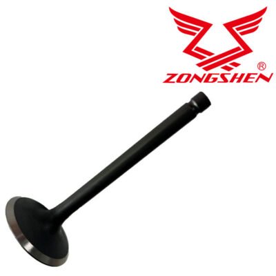 Įsiurbimo vožtuvas ZONGSHEN XP380, XP440, originali Zongshen dalis