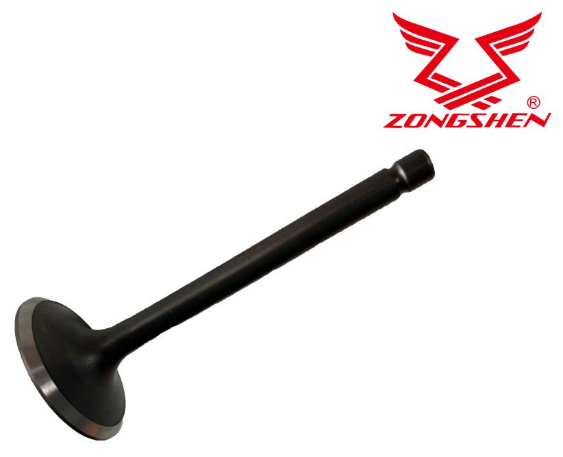 Įsiurbimo vožtuvas ZONGSHEN GB680, XP680, originali Zongshen dalis