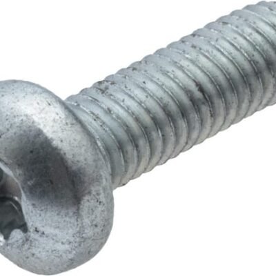 Savisriegis Torx varžtas (10x) AS-Motor G00009148