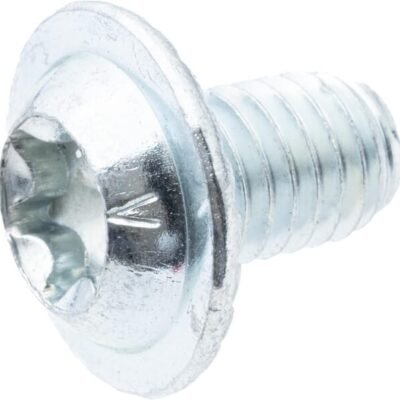 Torx dome-head varžtas (10x) AS-Motor G00009174